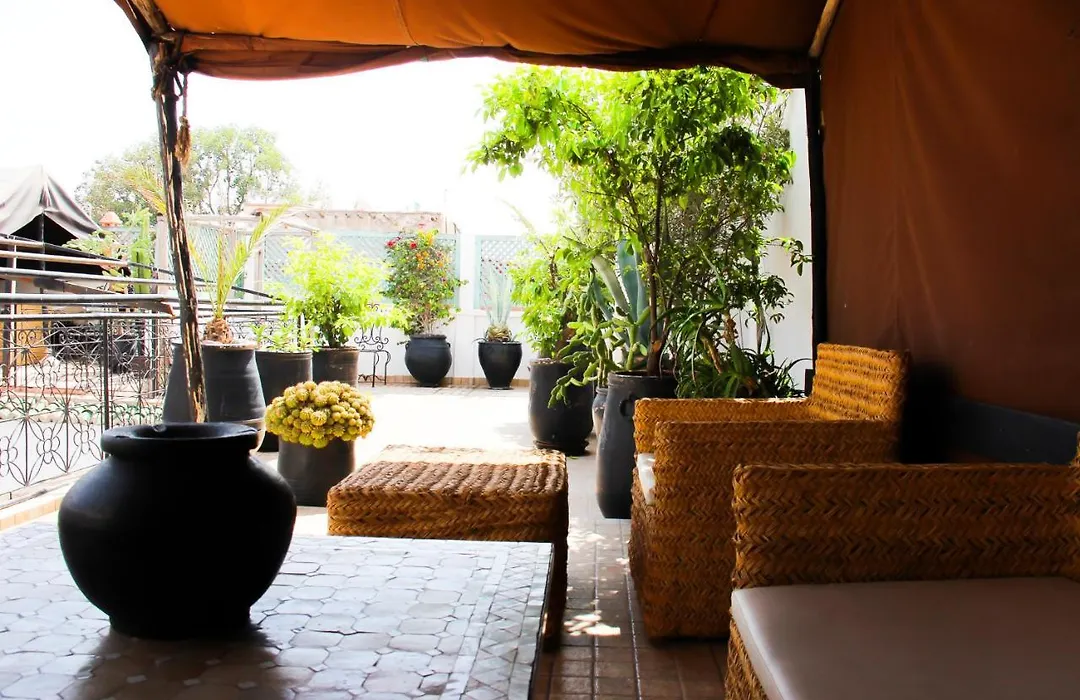 Riad Al Tainam-1