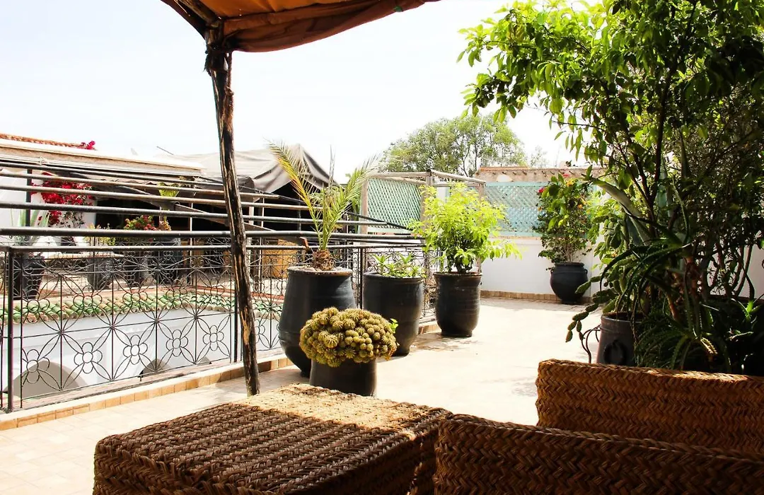Riad Al Tainam-1