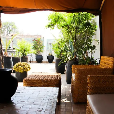 Riad Al Tainam-2